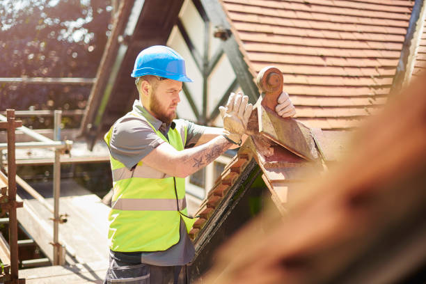 Roof Gutter Cleaning in Florissant, MO